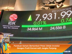 Panduan Saham Bertumbuh Pelan Untuk Investor Dengan Profil Konservatif Jangka Panjang